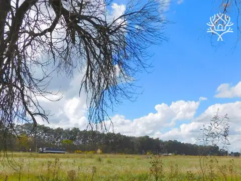 Venta - Lote - Barrio El Remanso - Exaltación de la Cruz