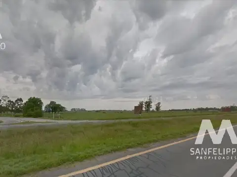 Campo - Chacra 24 - Venta - Chascomús