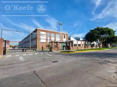 MARTIN RODRIGUEZ  al 100