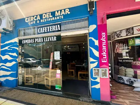 Local en Mar Del Plata