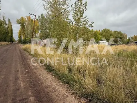 Terreno en Venta en Cipolletti, USD 75.000