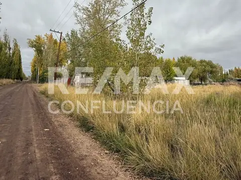 Lago Huechulafquen 100