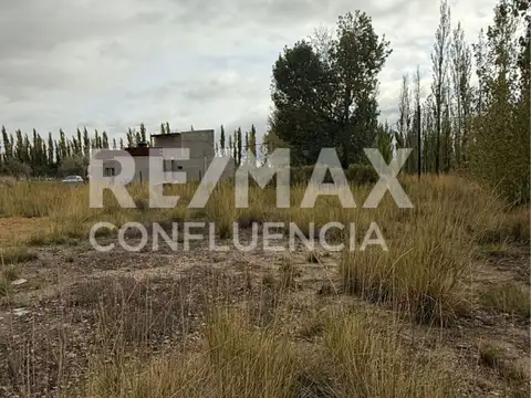 Lago Huechulafquen 100