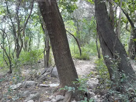 Terreno en Venta de 3070,0 m2