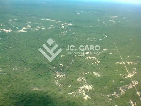 En Venta 5270 Has Campo Mixto