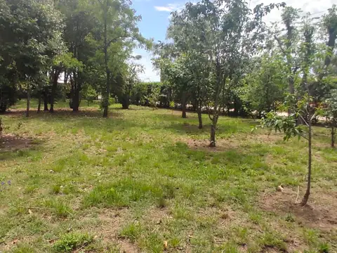 Terreno en Venta 22,60  mts Fondo