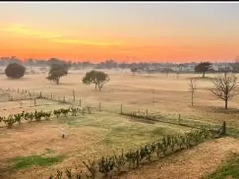 Terreno en Venta en Medal Country club, USD 38.000