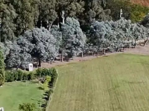 Terreno en Venta de 1579,0 m2