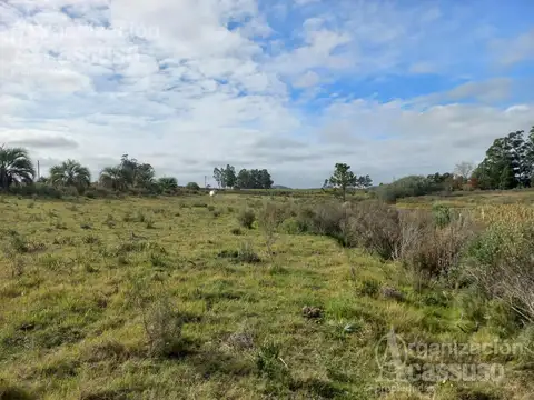 RUTA 12 Punta Ballena Ruta 12 Laguna del Sauce