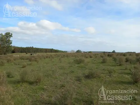 Terreno en Venta en Punta Ballena, USD 525.000