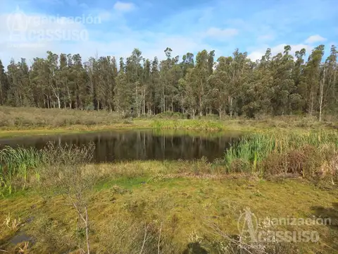 Terreno en Venta de 104000,0 m2