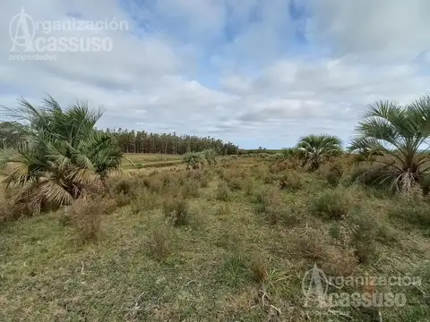Maldonado - Chacra Venta - Ruta 12 - Punta Ballena - Laguna de Sauce