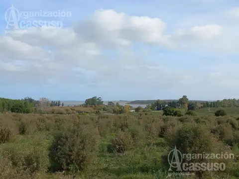 Terreno en Venta en Punta Ballena, USD 525.000