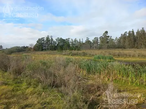 RUTA 12 Punta Ballena Ruta 12 Laguna del Sauce