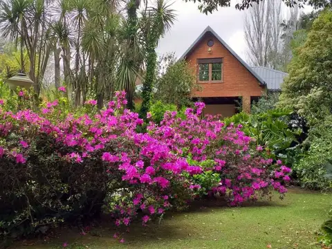 Arroyo Abra Vieja, Provincia de Buenos Aires, Argentina