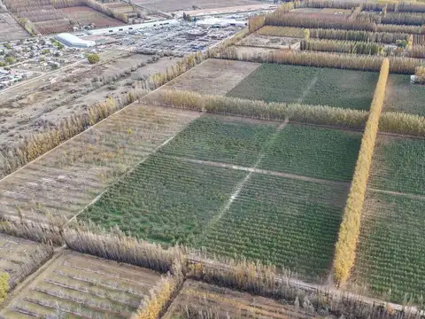 CHACRA PRODUCTIVA EN VENTA 29HA