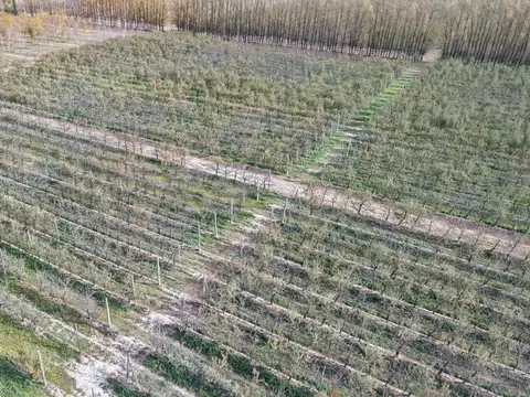 CHACRA PRODUCTIVA EN VENTA 29HA