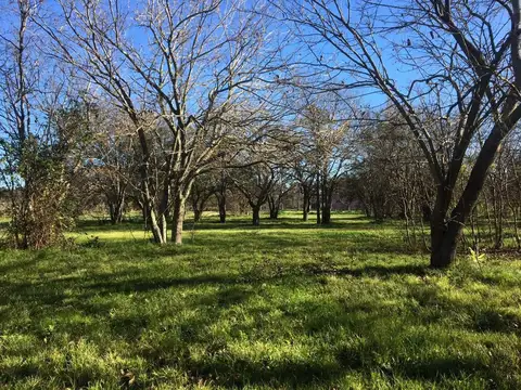 LOTE TERRENO EN VENTA EN VILLA ELISA  ENTRE CAMINO