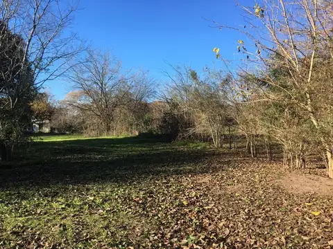 Terreno en Venta de 12000,0 m2