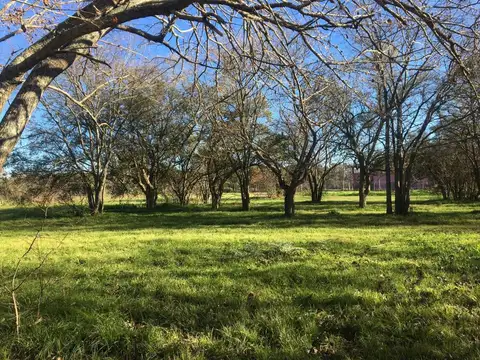 Terreno en Venta en Villa Elisa, USD 310.000