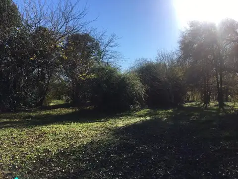 Terreno en Venta en Villa Elisa, USD 310.000