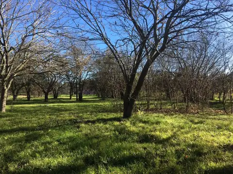 Terreno en Venta de 12000,0 m2