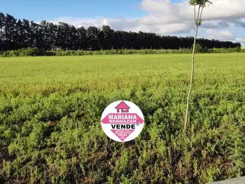 Terreno en Venta en San Pedro, USD 0