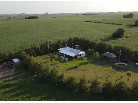 Campo de 7 hectareas con casa, sobre ruta.
