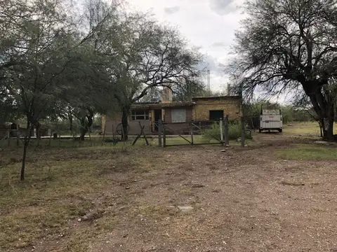 doctor luis amaral 100