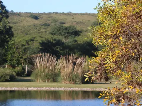 PARQUES DE SAN LORENZO