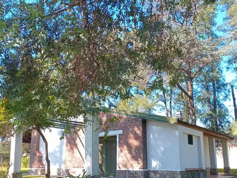 Gabriela Mistral 4600