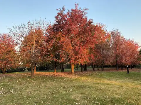 Terreno en Venta de 462,0 m2