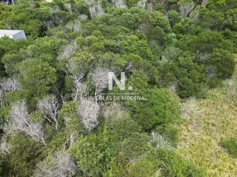 Terreno en Venta en José Ignacio, USD 250.000