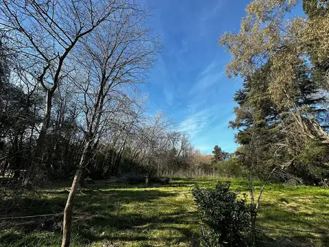 Terreno en Venta 39  mts Frente