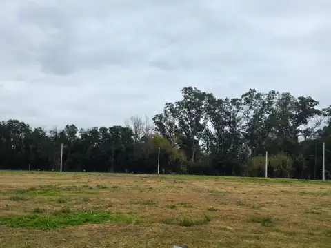 Terreno en Venta de 302,0 m2