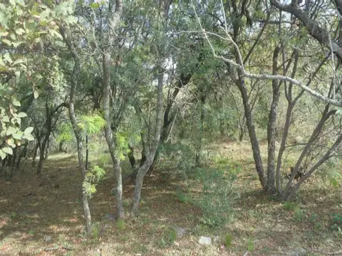 LA RUFINA- EL MEJOR LOTE!