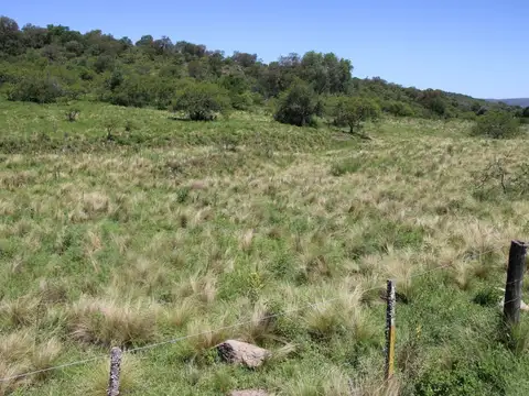 100 % FINANCIADO - Fracciones de campo - Vista al lago. CALAMUCHITA(Cód. 3114)