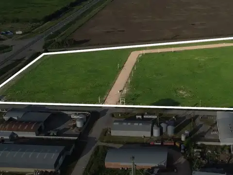 Suipacha, provincia de buenos aires 100