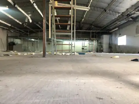 Concejal Tribulato 1600