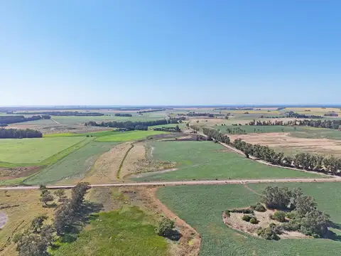 General Alvarado 15.3 has