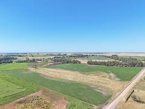 General Alvarado 15.3 has