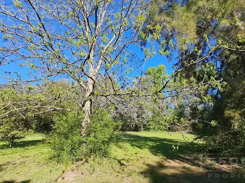 Terreno en Venta 42  mts Fondo