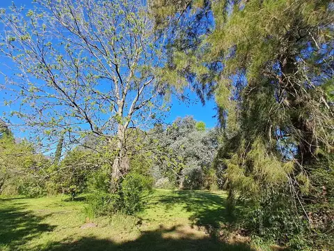 Terreno en Venta 37  mts Frente