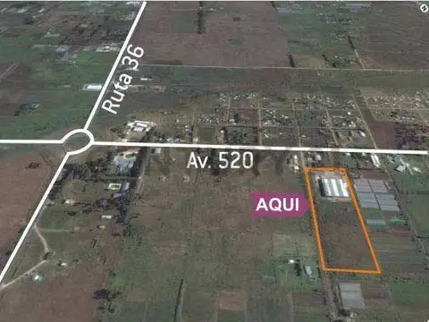 185 e/ 520 y 526 , Piso 0