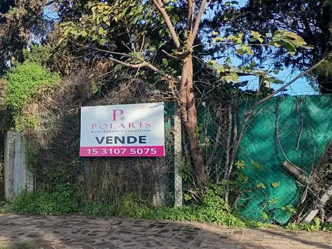 Basilio Delleva 2100