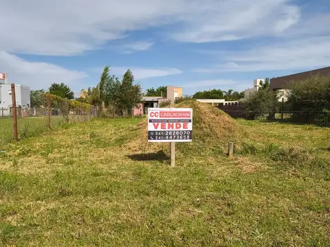 El Bagual 1800 - Punta Chacra