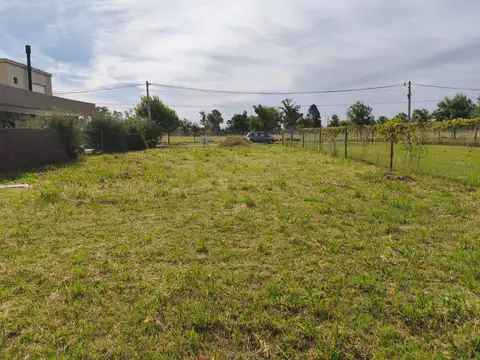 Terreno en Venta 37  mts Fondo