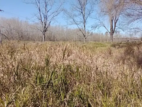 Terreno en Venta de 10000,0 m2