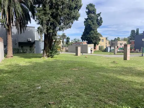 Mario Bravo (Nº 24) 300