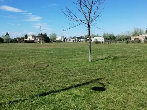 Terreno en Venta de 2333,0 m2